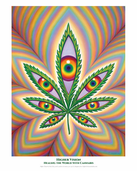 Higher Vision POSTER by Alex Grey (Unsigned)