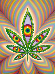 HigherVision_BKG_medium.jpg?v=